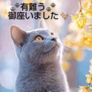 ヒメ日記 2026/03/02 12:26 投稿 ひさこ 熟女総本店 日本橋ミナミエリア店