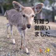 ヒメ日記 2026/03/06 10:06 投稿 ひさこ 熟女総本店 日本橋ミナミエリア店