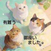 ヒメ日記 2026/03/13 13:56 投稿 ひさこ 熟女総本店 日本橋ミナミエリア店