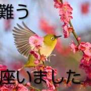 ヒメ日記 2026/03/24 21:46 投稿 ひさこ 熟女総本店 日本橋ミナミエリア店