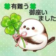 ヒメ日記 2026/03/24 23:16 投稿 ひさこ 熟女総本店 日本橋ミナミエリア店