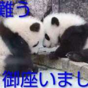 ヒメ日記 2026/03/25 19:36 投稿 ひさこ 熟女総本店 日本橋ミナミエリア店