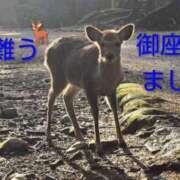 ヒメ日記 2026/03/27 19:16 投稿 ひさこ 熟女総本店 日本橋ミナミエリア店