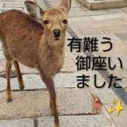 ヒメ日記 2026/03/29 11:36 投稿 ひさこ 熟女総本店 日本橋ミナミエリア店