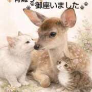 ヒメ日記 2026/04/02 10:26 投稿 ひさこ 熟女総本店 日本橋ミナミエリア店