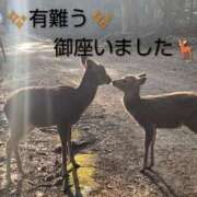 ヒメ日記 2026/04/02 12:06 投稿 ひさこ 熟女総本店 日本橋ミナミエリア店