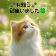 ヒメ日記 2026/04/05 14:56 投稿 ひさこ 熟女総本店 日本橋ミナミエリア店