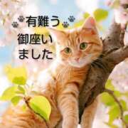 ヒメ日記 2026/04/06 17:29 投稿 ひさこ 熟女総本店 日本橋ミナミエリア店