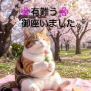 ヒメ日記 2026/04/10 13:06 投稿 ひさこ 熟女総本店 日本橋ミナミエリア店