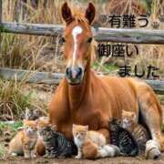 ヒメ日記 2026/04/11 17:06 投稿 ひさこ 熟女総本店 日本橋ミナミエリア店