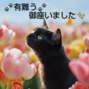 ヒメ日記 2026/04/18 15:16 投稿 ひさこ 熟女総本店 日本橋ミナミエリア店