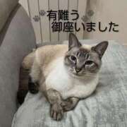 ヒメ日記 2026/04/18 16:26 投稿 ひさこ 熟女総本店 日本橋ミナミエリア店