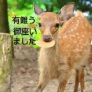 ヒメ日記 2026/04/22 03:16 投稿 ひさこ 熟女総本店 日本橋ミナミエリア店