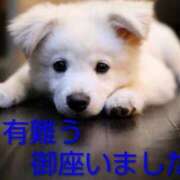 ヒメ日記 2026/04/22 23:46 投稿 ひさこ 熟女総本店 日本橋ミナミエリア店