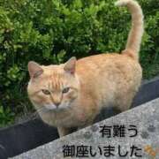 ヒメ日記 2026/04/25 13:06 投稿 ひさこ 熟女総本店 日本橋ミナミエリア店