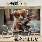 ヒメ日記 2026/04/30 23:36 投稿 ひさこ 熟女総本店 日本橋ミナミエリア店