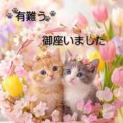 ヒメ日記 2026/05/01 15:56 投稿 ひさこ 熟女総本店 日本橋ミナミエリア店