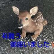 ヒメ日記 2026/05/05 14:06 投稿 ひさこ 熟女総本店 日本橋ミナミエリア店
