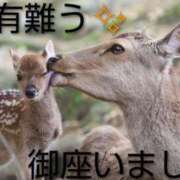 ヒメ日記 2026/05/10 15:06 投稿 ひさこ 熟女総本店 日本橋ミナミエリア店
