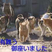 ヒメ日記 2026/05/13 18:49 投稿 ひさこ 熟女総本店 日本橋ミナミエリア店