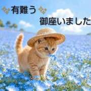 ヒメ日記 2026/05/16 14:56 投稿 ひさこ 熟女総本店 日本橋ミナミエリア店