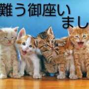 ヒメ日記 2026/05/22 09:36 投稿 ひさこ 熟女総本店 日本橋ミナミエリア店