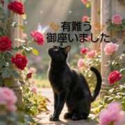ひさこ ありがとう☔️ 熟女総本店 日本橋ミナミエリア店