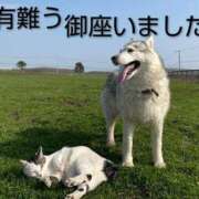 ヒメ日記 2026/06/02 11:46 投稿 ひさこ 熟女総本店 日本橋ミナミエリア店