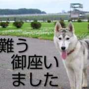ヒメ日記 2026/06/02 12:06 投稿 ひさこ 熟女総本店 日本橋ミナミエリア店