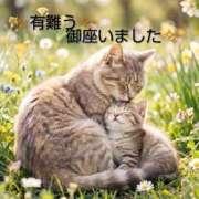 ヒメ日記 2026/06/02 13:26 投稿 ひさこ 熟女総本店 日本橋ミナミエリア店