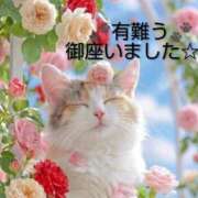 ヒメ日記 2026/06/09 13:06 投稿 ひさこ 熟女総本店 日本橋ミナミエリア店