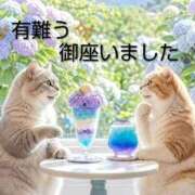 ヒメ日記 2026/06/09 14:16 投稿 ひさこ 熟女総本店 日本橋ミナミエリア店