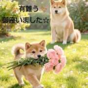 ヒメ日記 2026/06/10 22:26 投稿 ひさこ 熟女総本店 日本橋ミナミエリア店