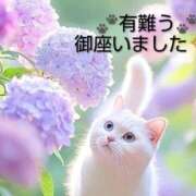 ヒメ日記 2026/06/13 06:26 投稿 ひさこ 熟女総本店 日本橋ミナミエリア店