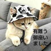 ヒメ日記 2026/06/14 15:36 投稿 ひさこ 熟女総本店 日本橋ミナミエリア店