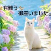 ヒメ日記 2026/06/18 20:26 投稿 ひさこ 熟女総本店 日本橋ミナミエリア店