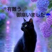 ヒメ日記 2026/06/22 18:34 投稿 ひさこ 熟女総本店 日本橋ミナミエリア店