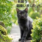 ヒメ日記 2026/06/23 02:06 投稿 ひさこ 熟女総本店 日本橋ミナミエリア店