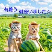 ヒメ日記 2026/07/30 16:07 投稿 ひさこ 熟女総本店 日本橋ミナミエリア店