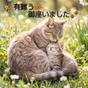 ヒメ日記 2026/08/01 19:56 投稿 ひさこ 熟女総本店 日本橋ミナミエリア店