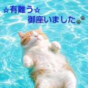 ヒメ日記 2026/08/15 13:16 投稿 ひさこ 熟女総本店 日本橋ミナミエリア店