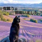 ヒメ日記 2026/08/20 12:06 投稿 ひさこ 熟女総本店 日本橋ミナミエリア店