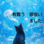ヒメ日記 2026/09/20 23:16 投稿 ひさこ 熟女総本店 日本橋ミナミエリア店