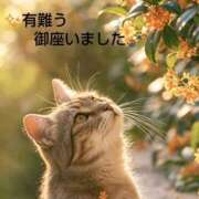 ヒメ日記 2026/10/13 07:53 投稿 ひさこ 熟女総本店 日本橋ミナミエリア店