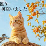 ヒメ日記 2026/10/23 15:23 投稿 ひさこ 熟女総本店 日本橋ミナミエリア店