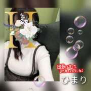 ヒメ日記 2024/12/20 16:24 投稿 ひまり 池袋おかあさん