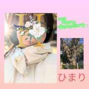 ヒメ日記 2025/01/02 15:24 投稿 ひまり 池袋おかあさん