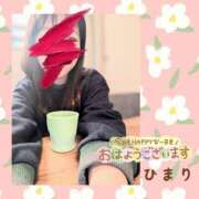 ヒメ日記 2025/01/14 09:24 投稿 ひまり 池袋おかあさん