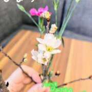 ヒメ日記 2025/01/17 14:03 投稿 ひまり 池袋おかあさん