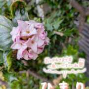 ヒメ日記 2025/03/12 19:04 投稿 ひまり 池袋おかあさん